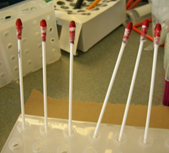Pictures of swabs with the red dye